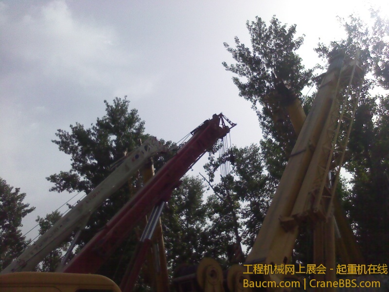 IMG_20130512_083511.jpg