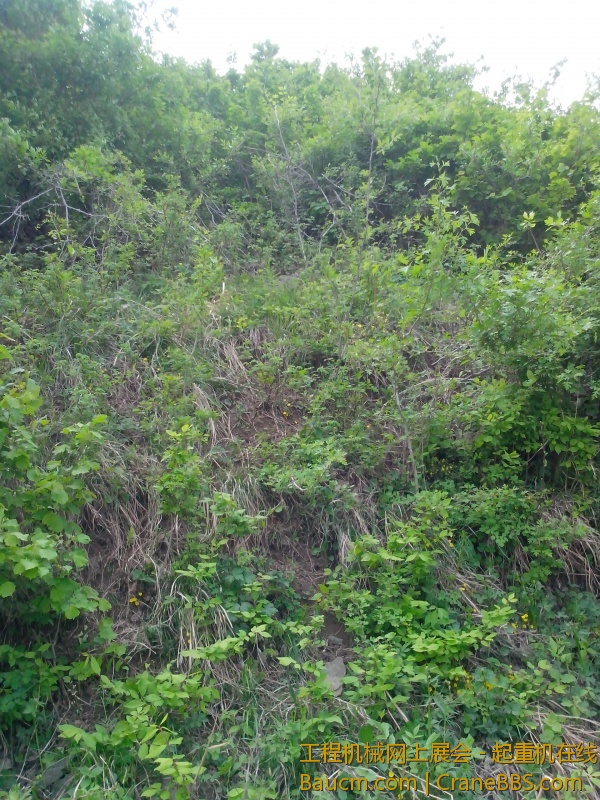 IMG_20130515_114145.jpg
