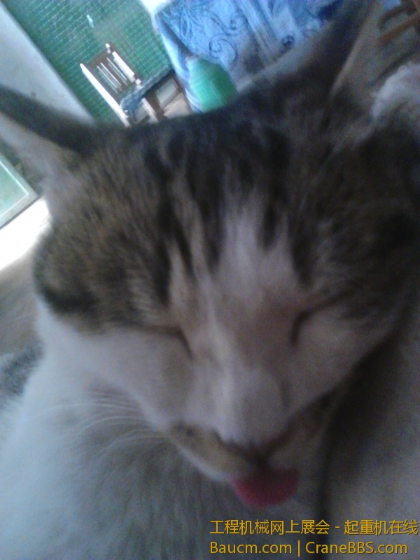 跨度23米吊变压器大臂全伸 重量1吨 (3).jpg