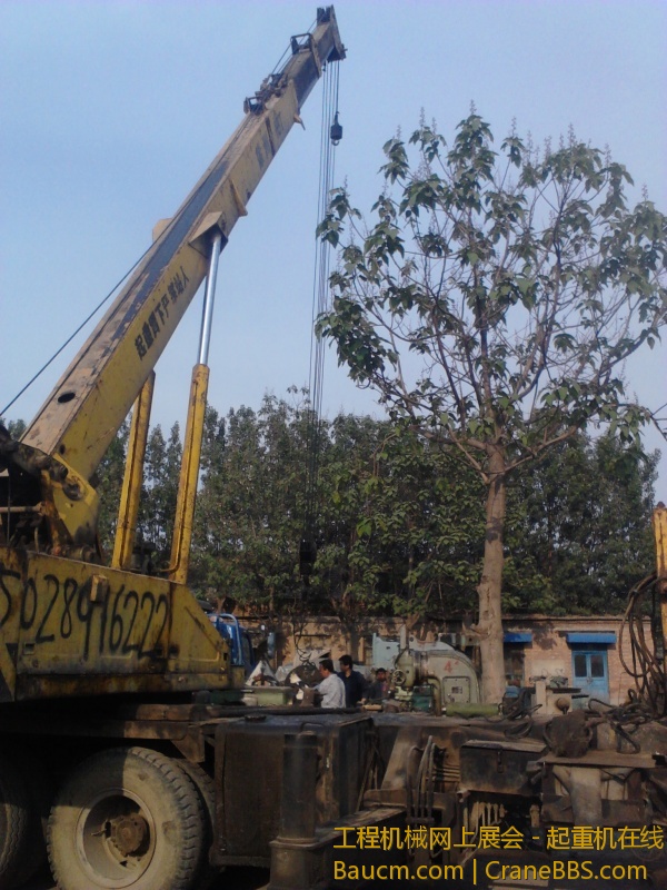 见识的老车 老当益壮 (6).jpg