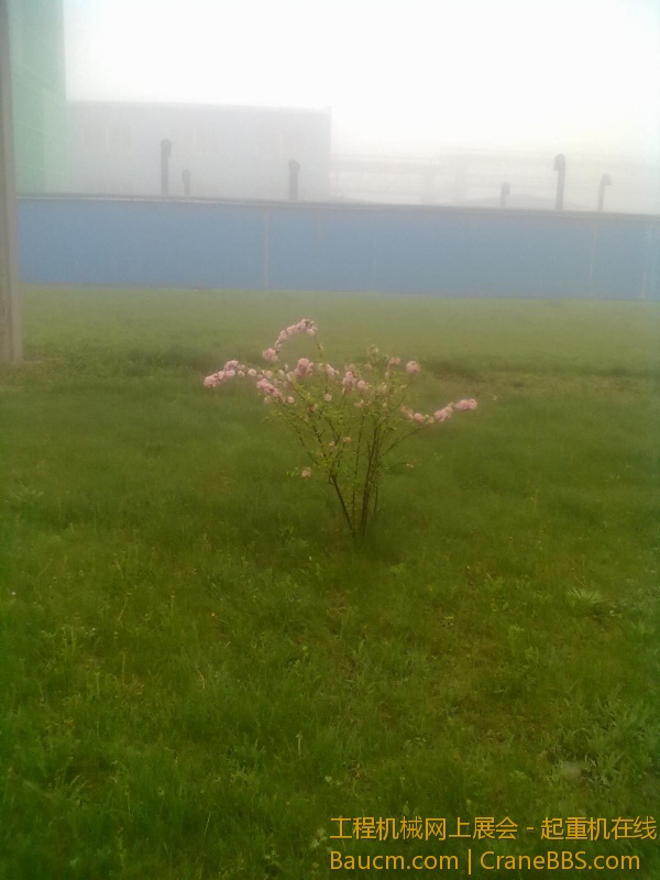 201305161804.jpg