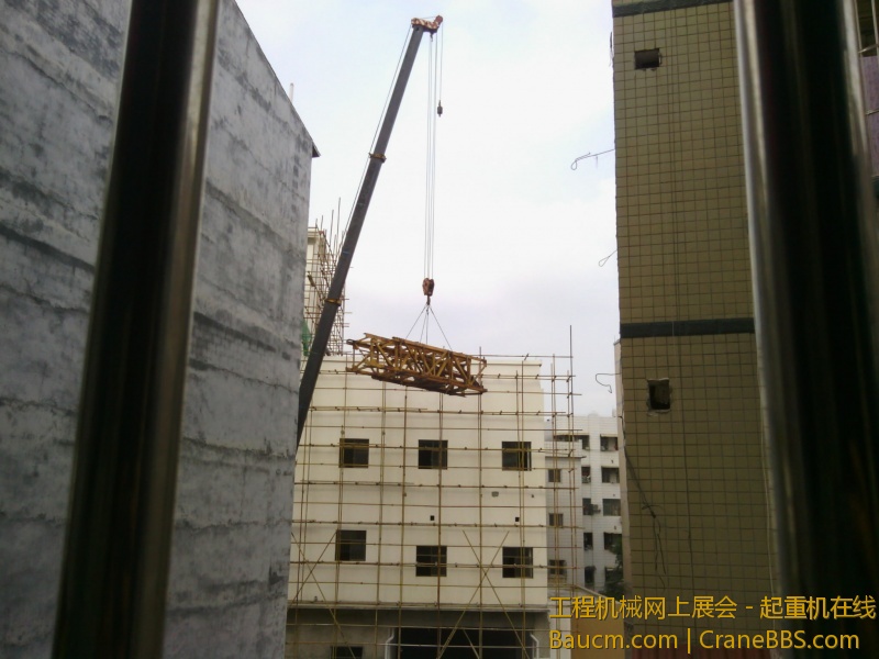 IMG_20121023_110546.jpg
