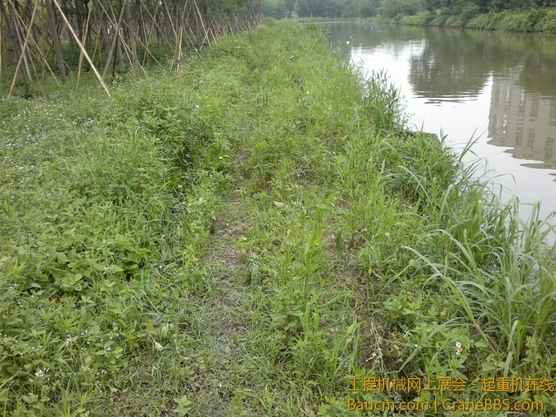 201305181009_1.jpg