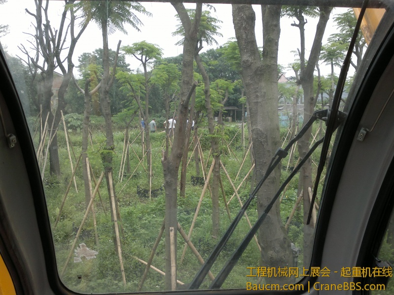 201305181010.jpg