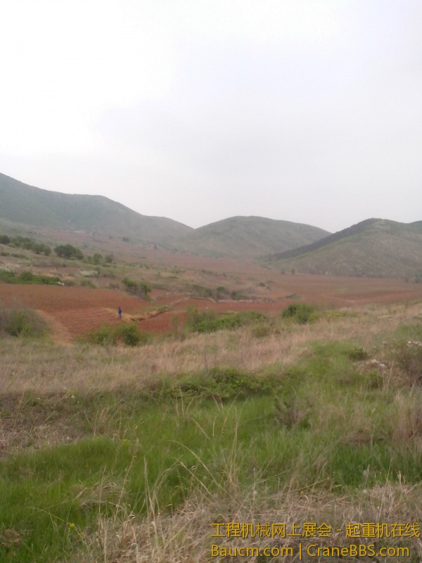 IMG_20130518_155649.jpg