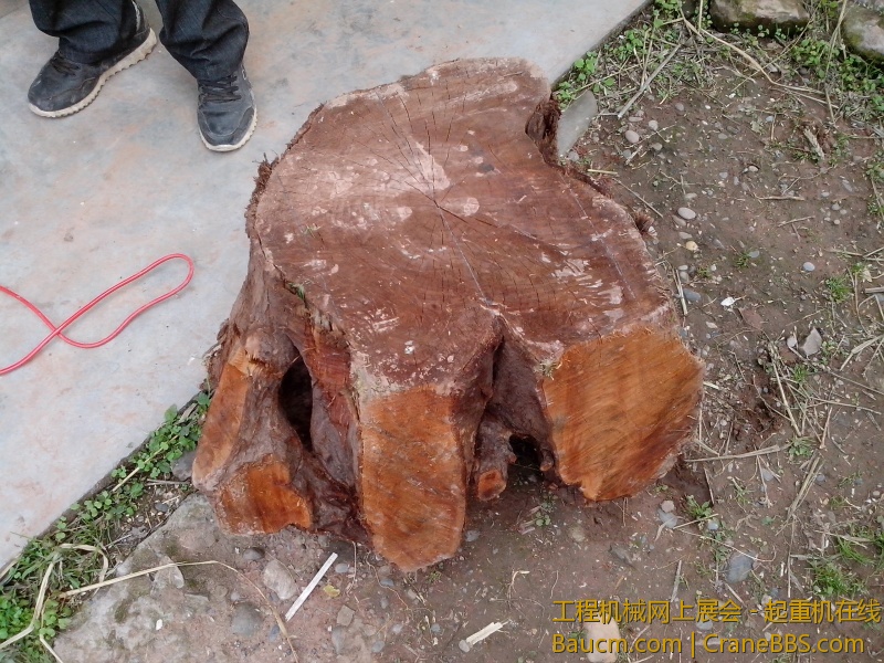 IMG_20130519_162655.jpg