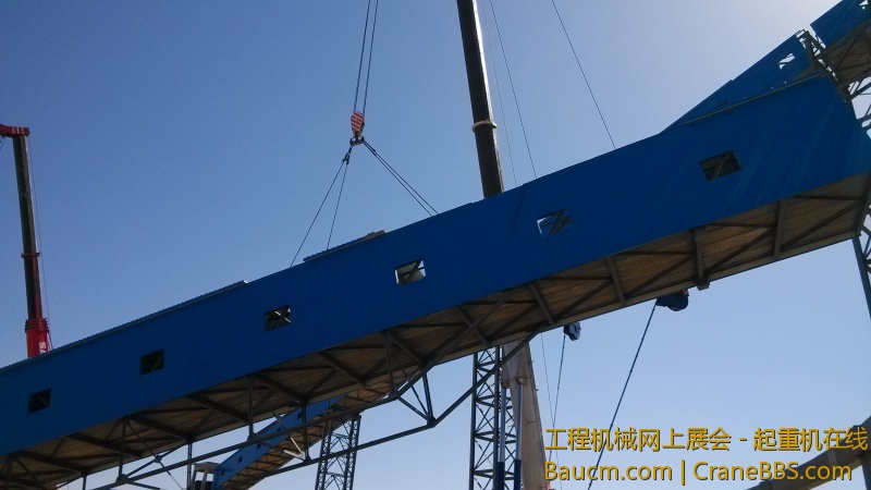 IMG_20130519_152859.jpg
