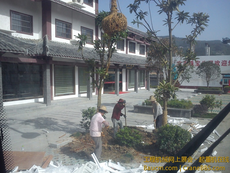 IMG_20130520_161600.jpg