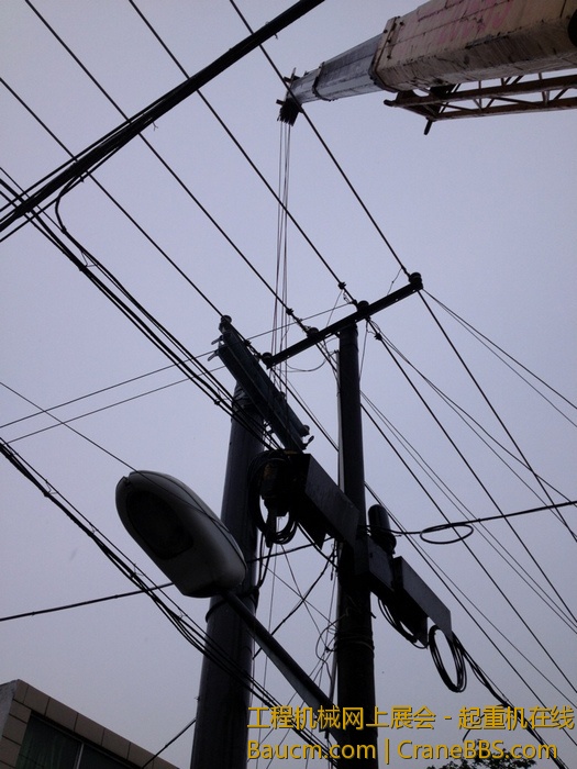 nEO_IMG_毛毛 135.jpg