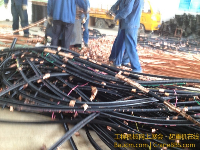 nEO_IMG_毛毛 203.jpg