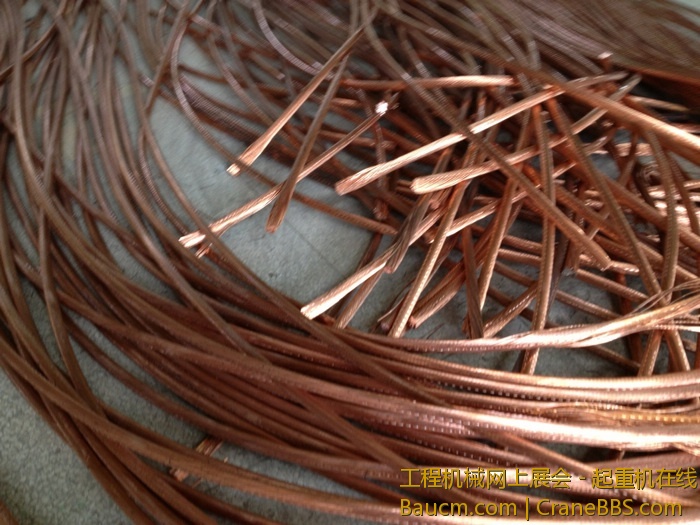 nEO_IMG_毛毛 204.jpg