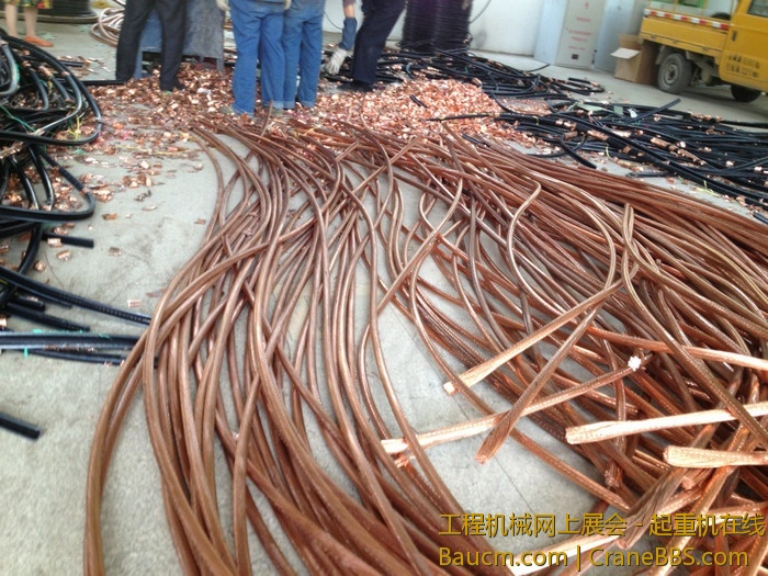 nEO_IMG_毛毛 205.jpg