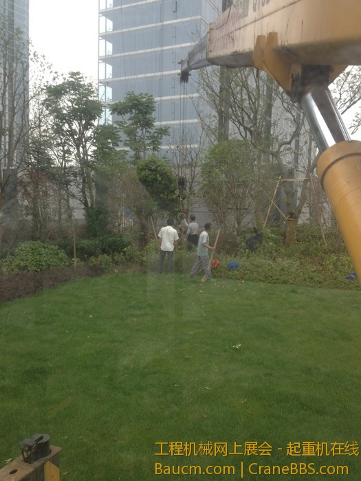 nEO_IMG_毛毛 015.jpg