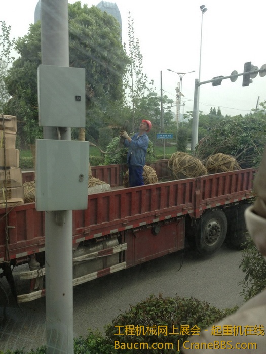 nEO_IMG_毛毛 016.jpg