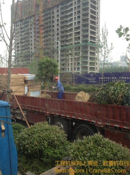 nEO_IMG_毛毛 017.jpg