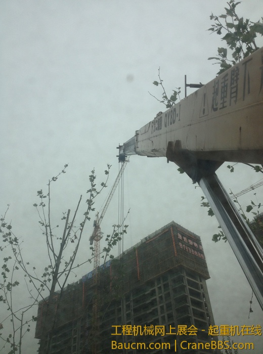 nEO_IMG_毛毛 018.jpg