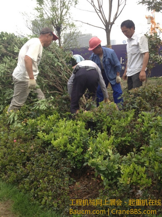 nEO_IMG_毛毛 019.jpg