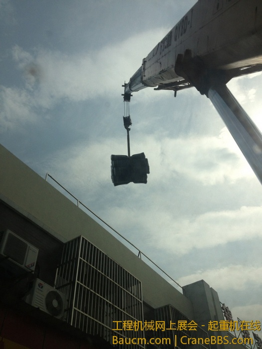 nEO_IMG_毛毛 202.jpg