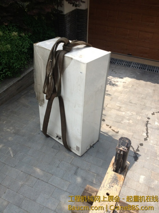 nEO_IMG_毛毛 241.jpg