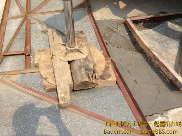 nEO_IMG_毛毛 272.jpg