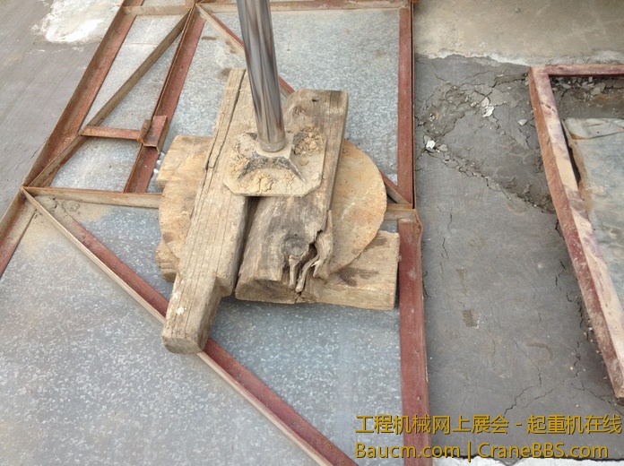 nEO_IMG_毛毛 277.jpg