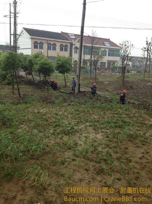 nEO_IMG_毛毛 068.jpg