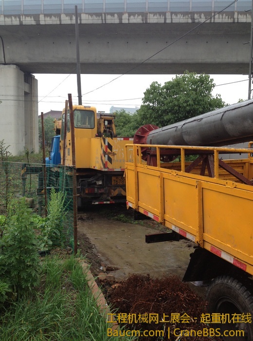 nEO_IMG_毛毛 070.jpg