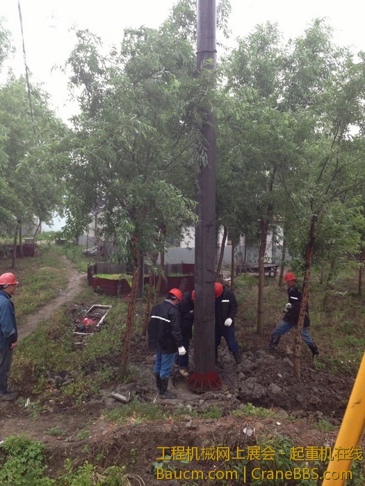 nEO_IMG_毛毛 064.jpg