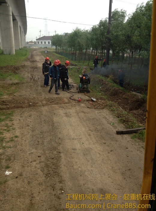 nEO_IMG_毛毛 065.jpg