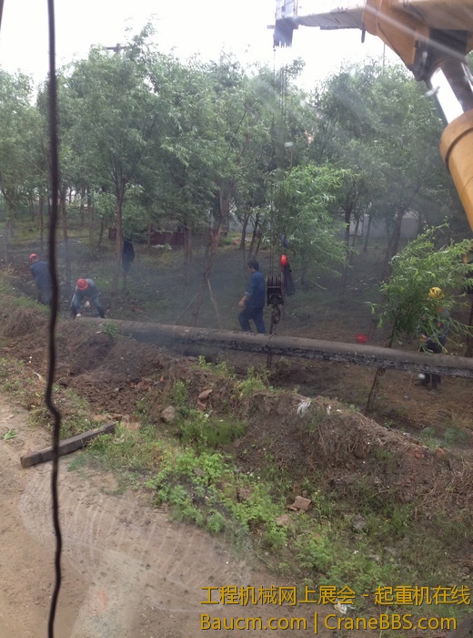 nEO_IMG_毛毛 066.jpg