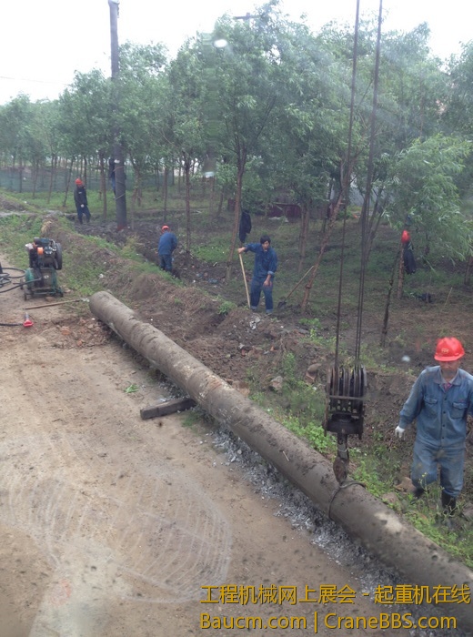 nEO_IMG_毛毛 067.jpg