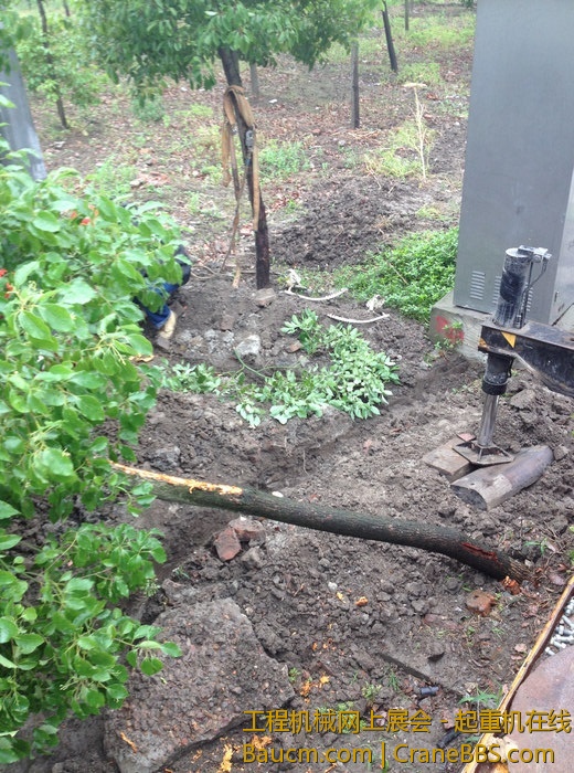 nEO_IMG_毛毛 079.jpg