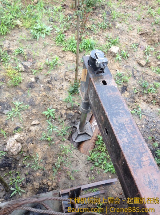 nEO_IMG_毛毛 080.jpg