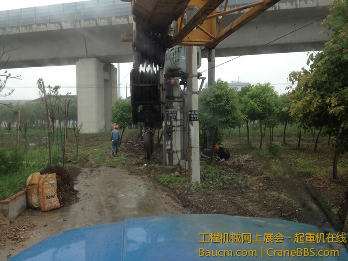 nEO_IMG_毛毛 083.jpg