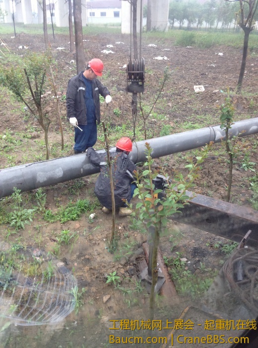 nEO_IMG_毛毛 076.jpg