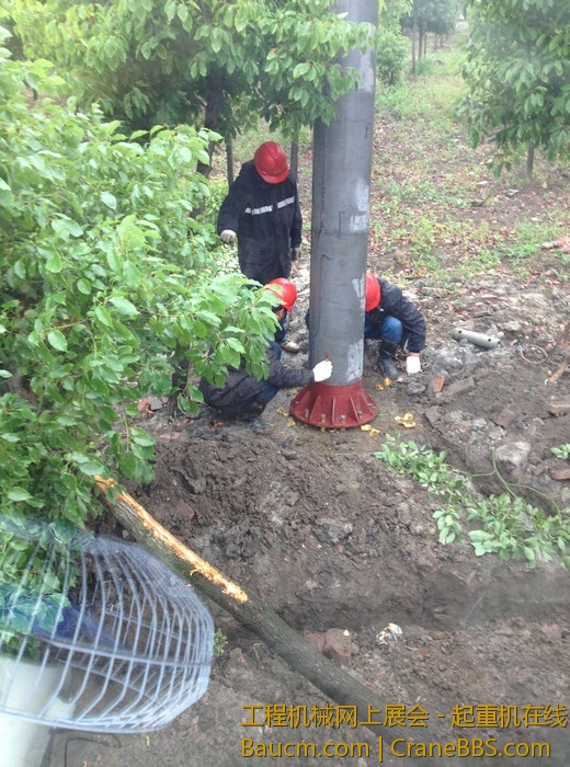 nEO_IMG_毛毛 077.jpg