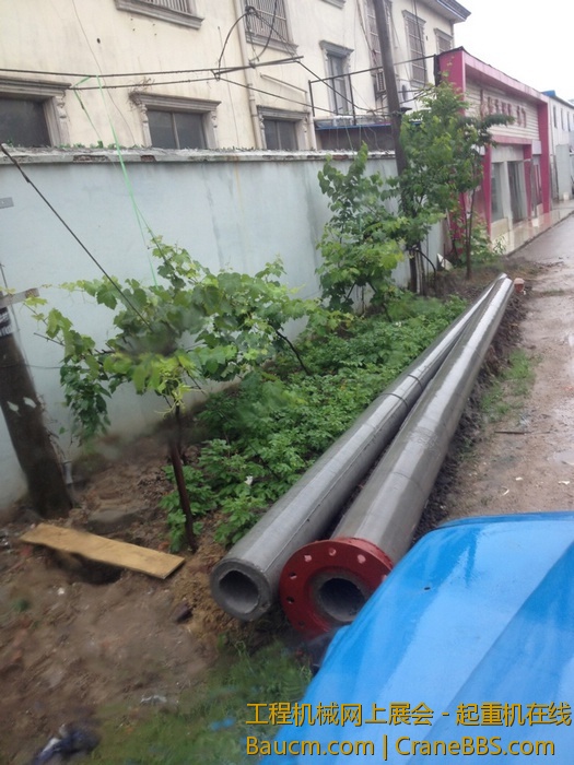 nEO_IMG_毛毛 107.jpg