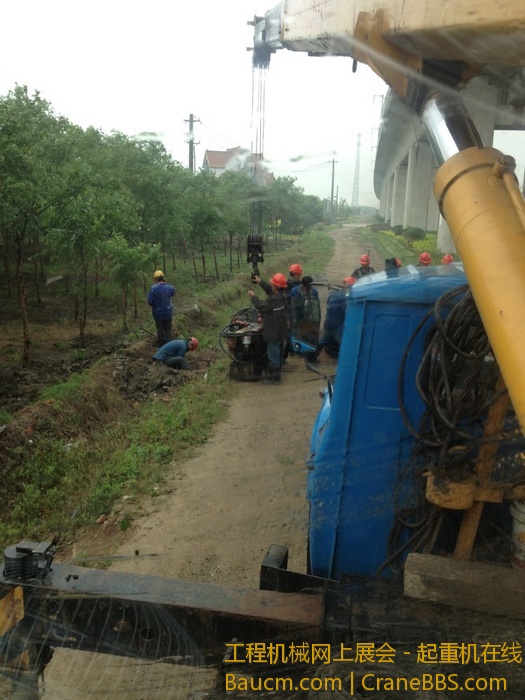 nEO_IMG_毛毛 084.jpg