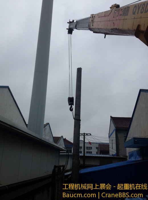 nEO_IMG_毛毛 115.jpg