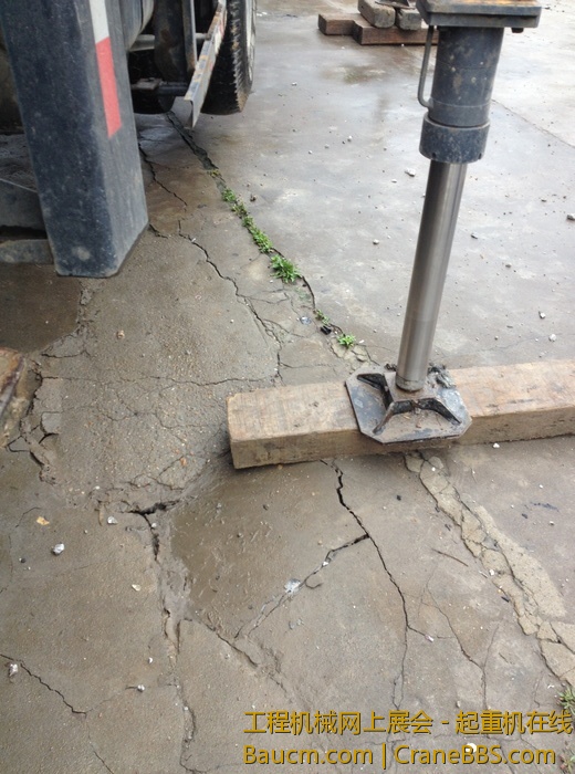 nEO_IMG_毛毛 129.jpg