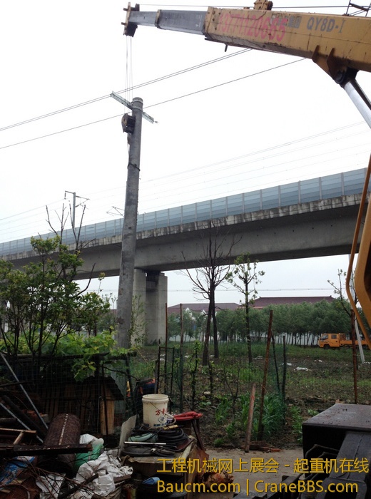 nEO_IMG_毛毛 130.jpg