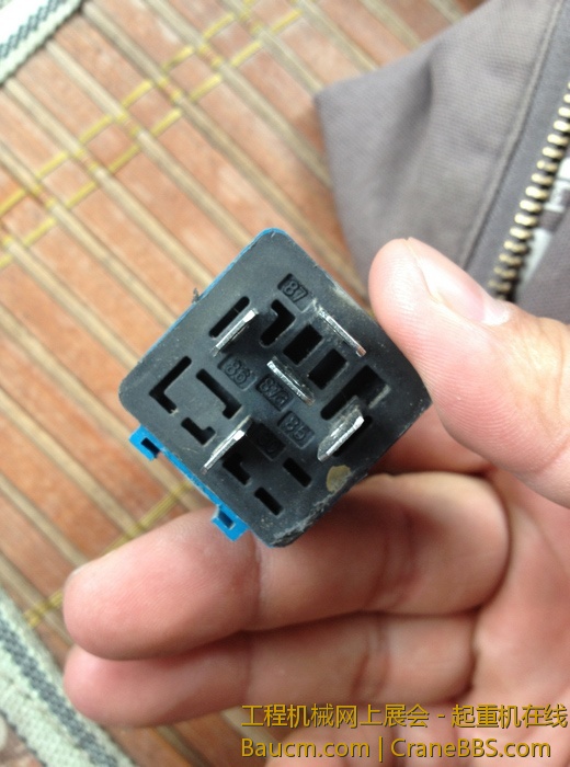 nEO_IMG_毛毛 132.jpg