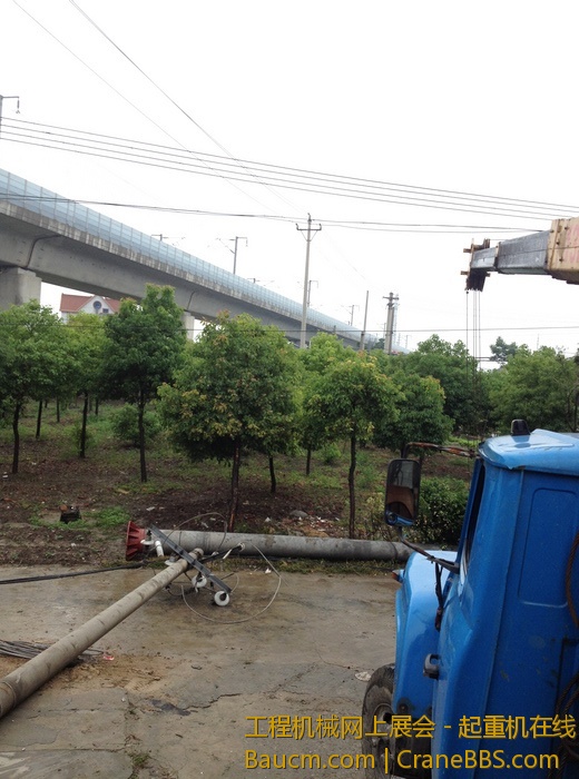 nEO_IMG_毛毛 123.jpg