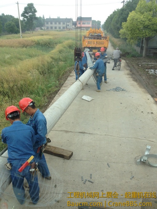 nEO_IMG_毛毛 160.jpg