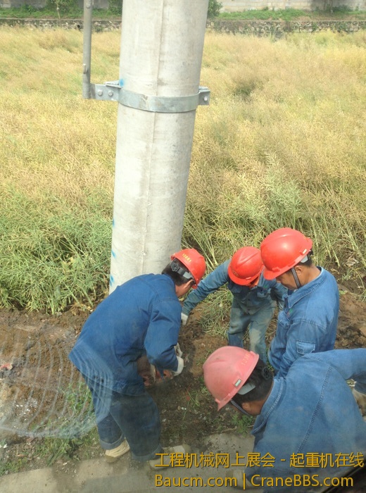 nEO_IMG_毛毛 163.jpg