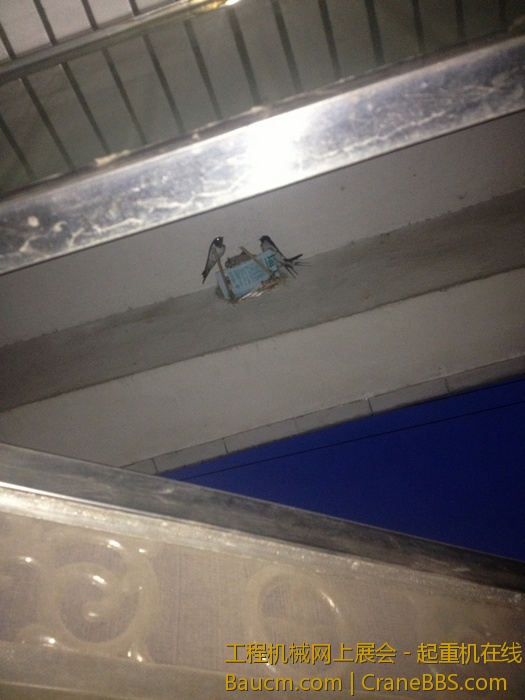 nEO_IMG_毛毛 193.jpg