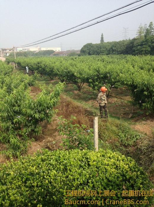 nEO_IMG_毛毛 295.jpg