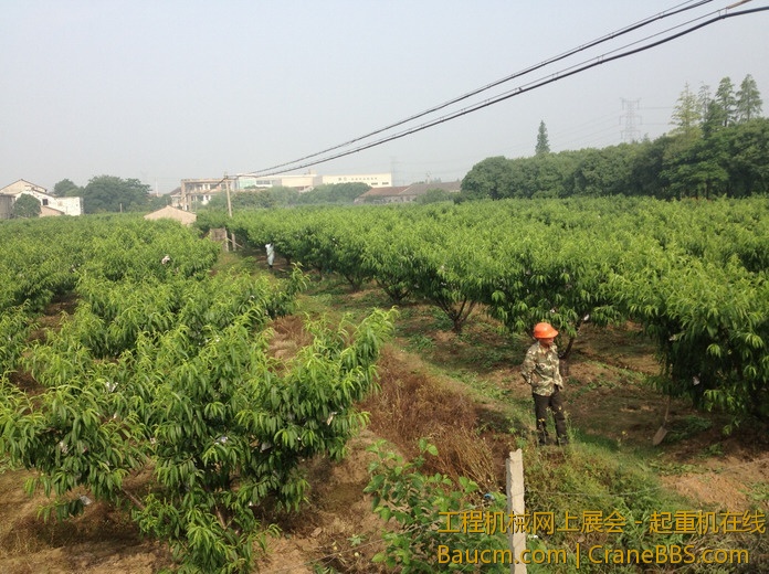 nEO_IMG_毛毛 297.jpg