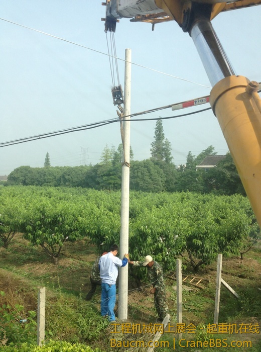 nEO_IMG_毛毛 298.jpg