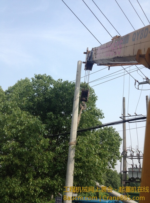 nEO_IMG_毛毛 293.jpg